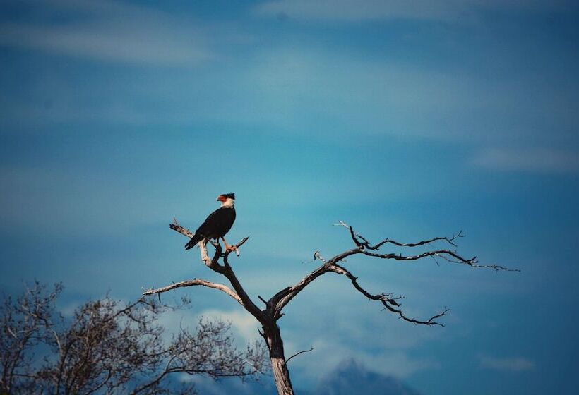 酒店 Awatawaa Ecolodge