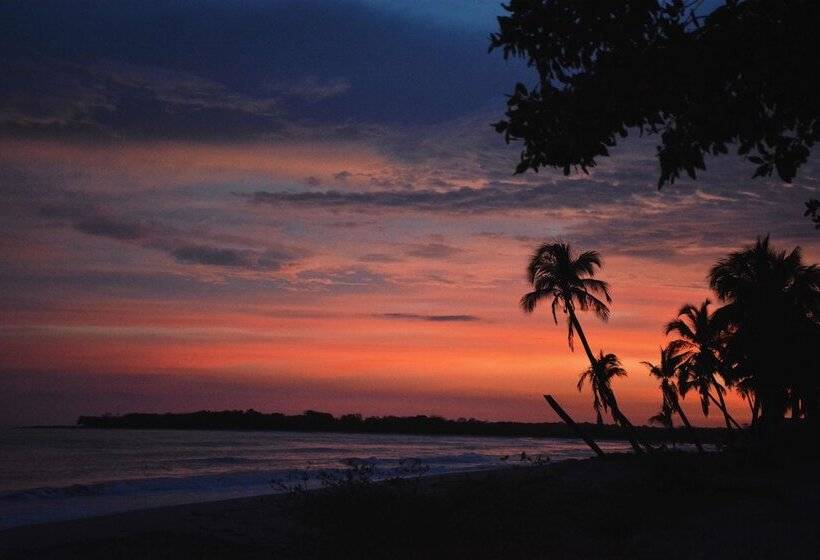 酒店 Awatawaa Ecolodge