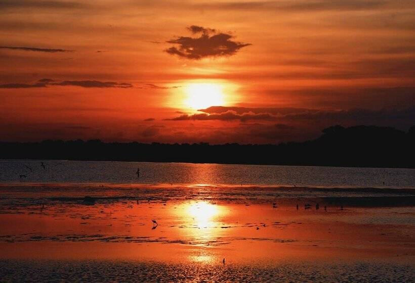 酒店 Awatawaa Ecolodge