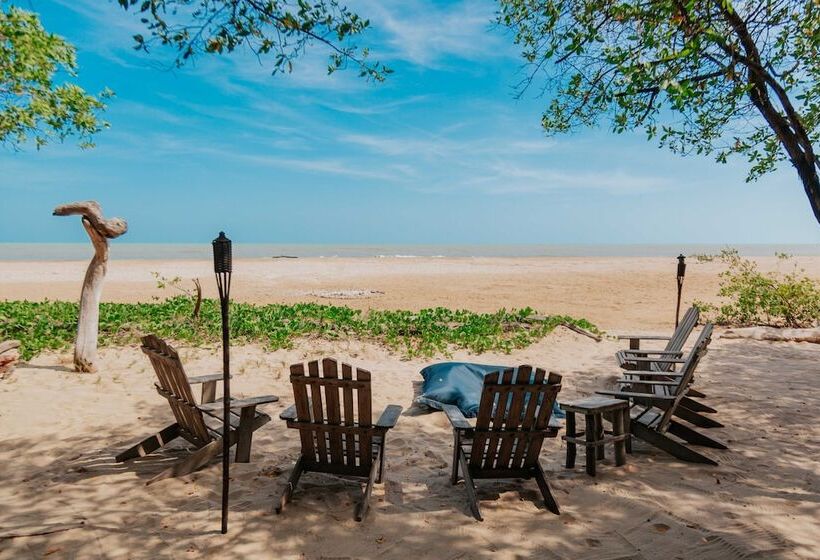 酒店 Awatawaa Ecolodge