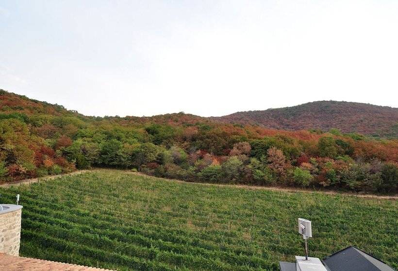 هتل Babaneuris Marani