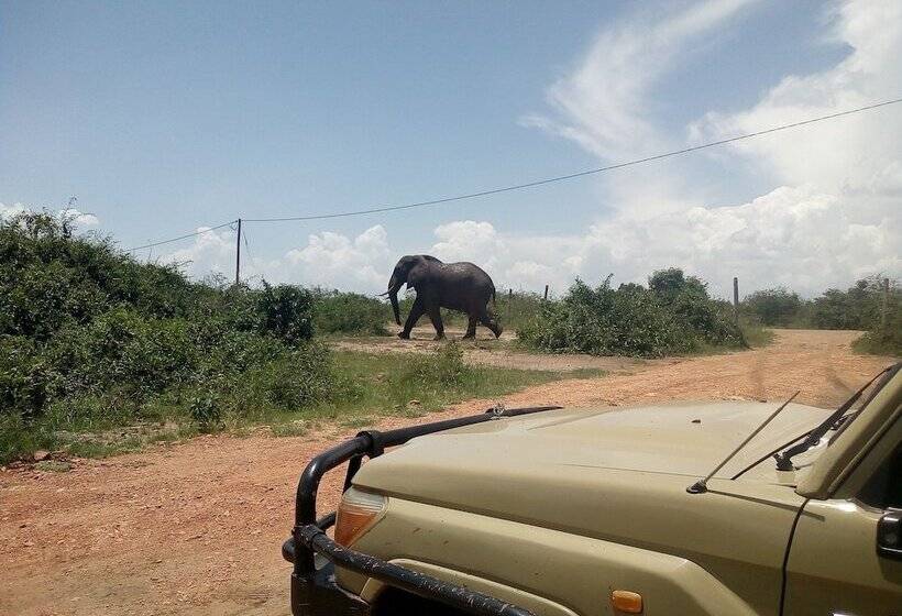 هتل Buffalo Safari Lodge