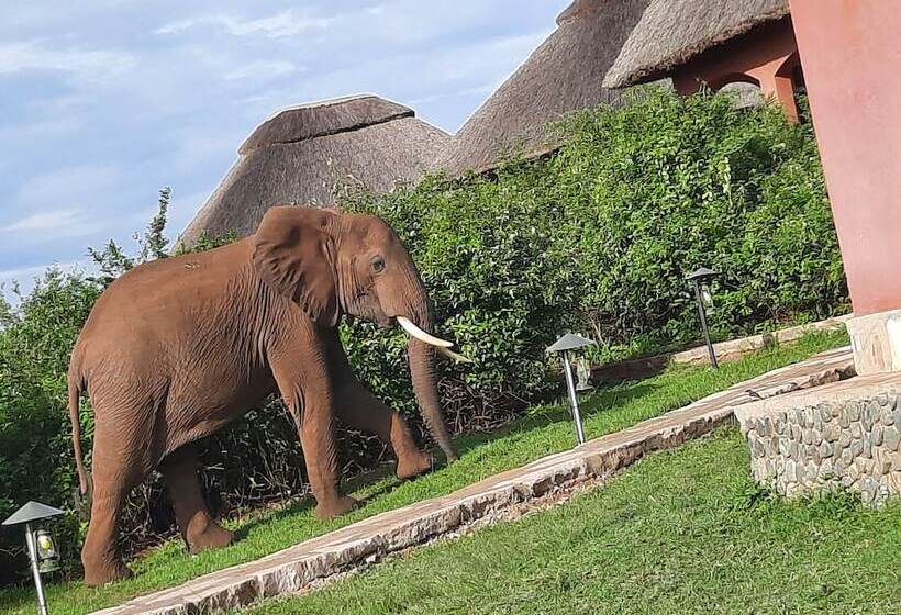 هتل Buffalo Safari Lodge