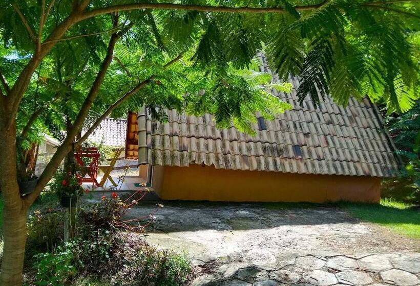 ホテル Chalés Quinta Do Cedro