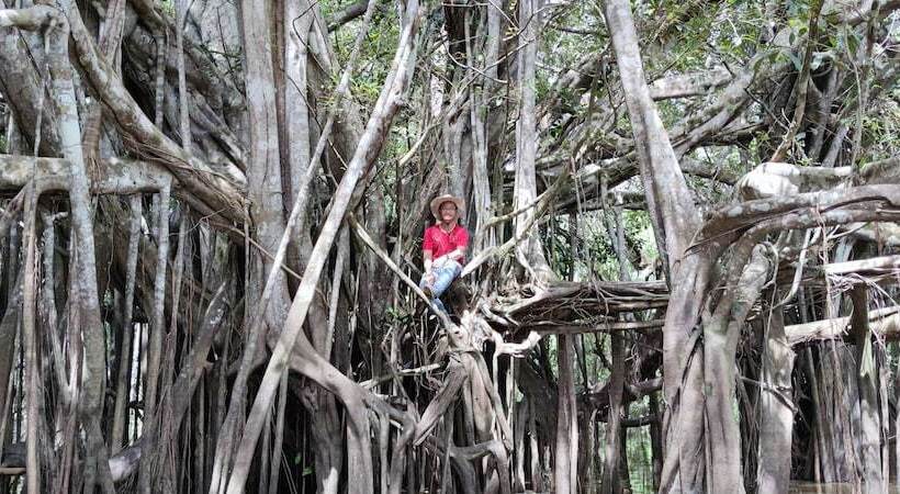 فندق Curuhuinsi Lodge