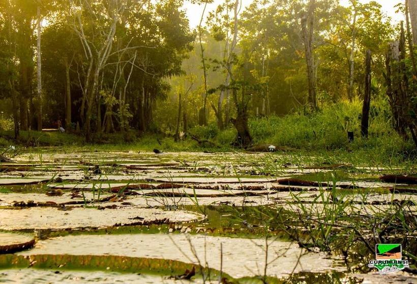 فندق Curuhuinsi Lodge