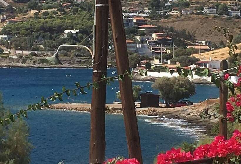 בית מלון כפרי Daskalio Resort Adamis