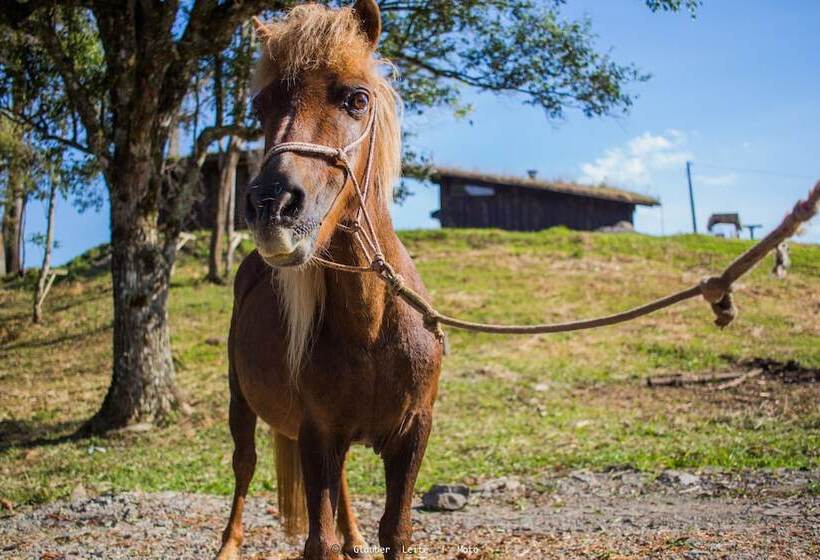 호텔 Eco Hospedagem Yahoo