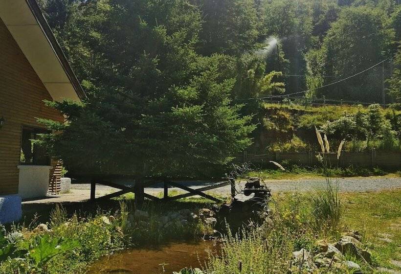 Hotel El Faro Del Alto Bio Bio