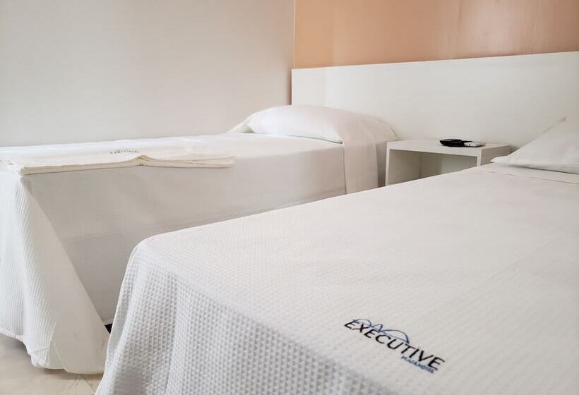 בית מלון כפרי Executive Plaza