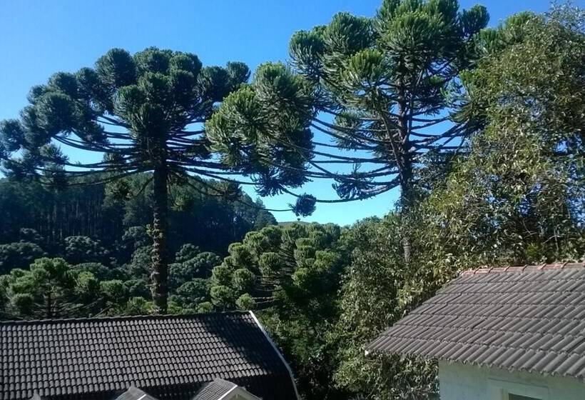 酒店 Forest Pine Inn