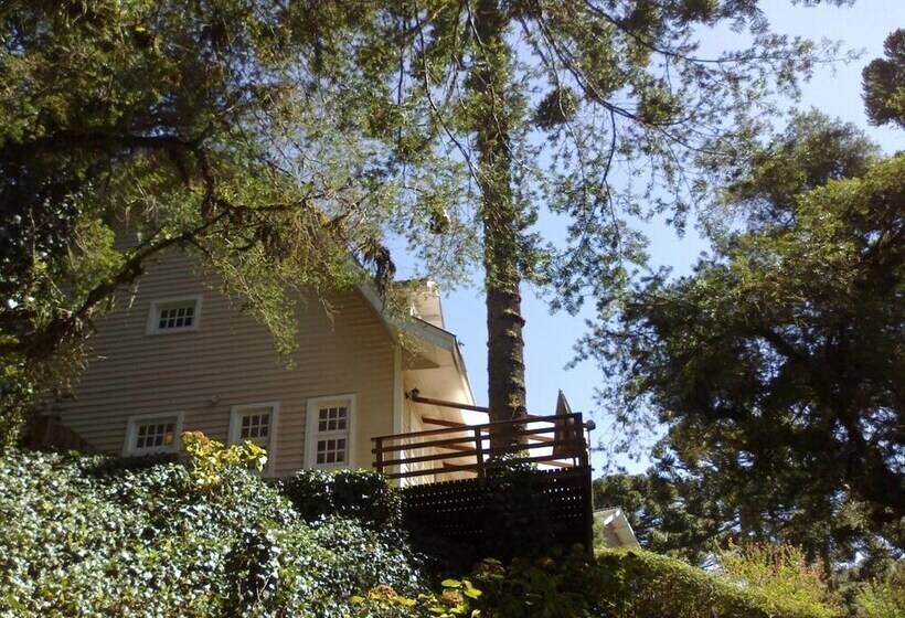 酒店 Forest Pine Inn