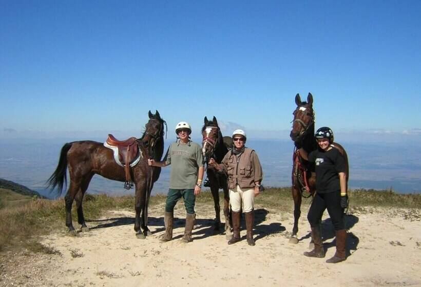 酒店 Forest Pine Inn