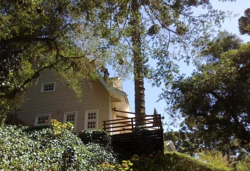 ホテル Forest Pine Inn