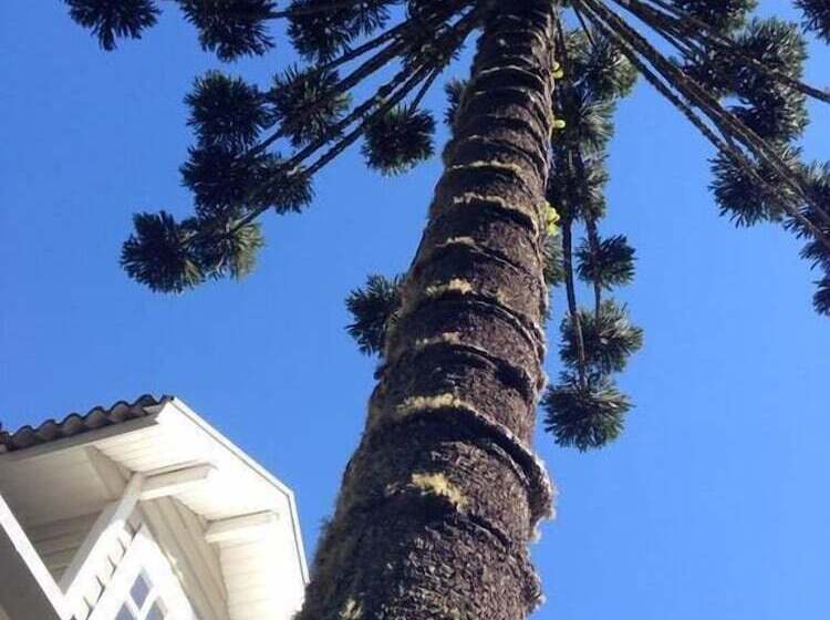 ホテル Forest Pine Inn