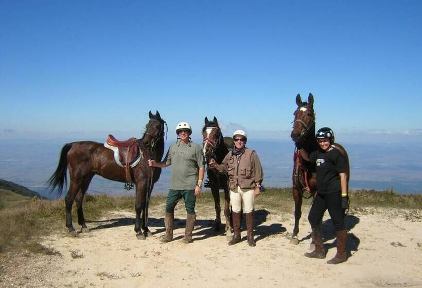 酒店 Forest Pine Inn