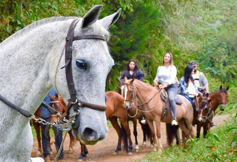 Отель Glamping Stars