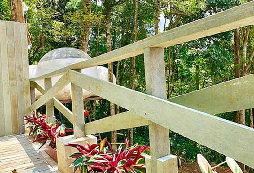 Отель Glamping Stars