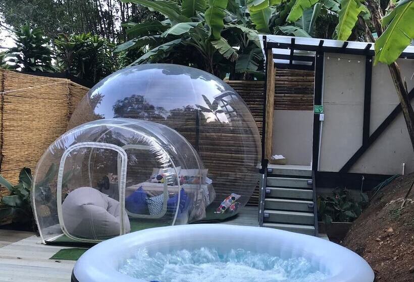 Отель Glamping Stars