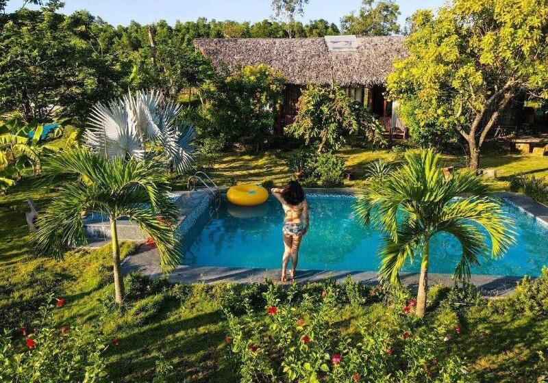 هتل Hamya Hotsprings And Resort