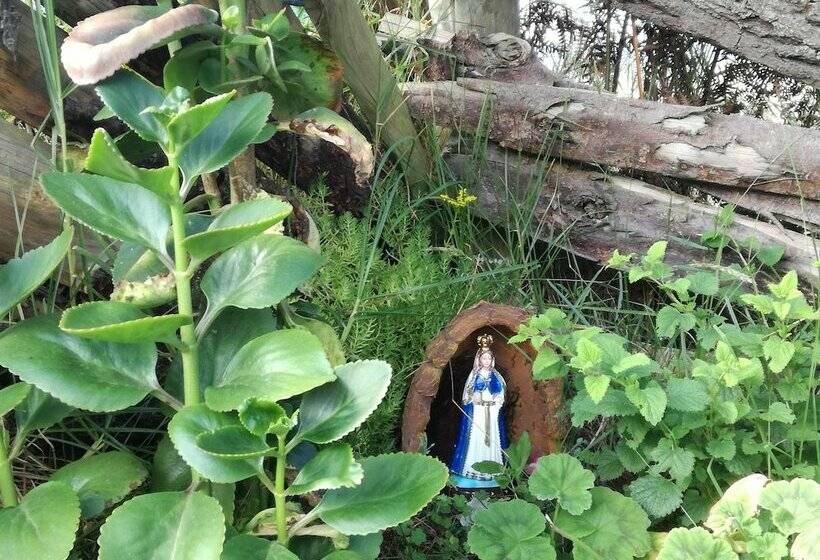 호텔 Hostel Ferme Shamba La