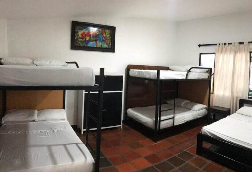 酒店 Hostel La Rosa Nautica