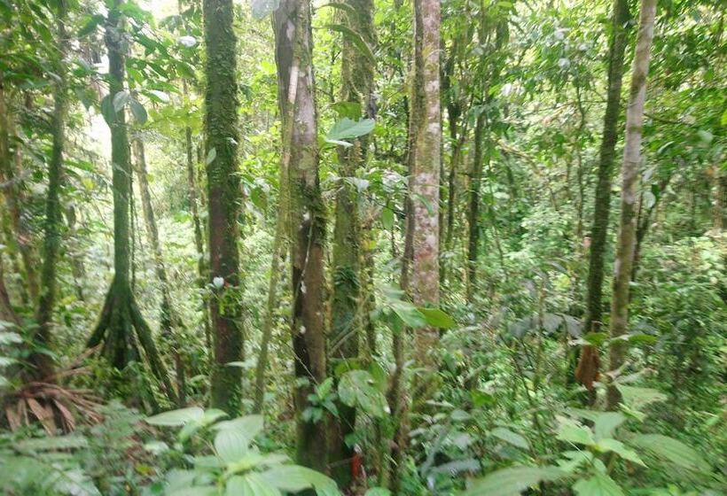 فندق Hosteria Flor De Canela