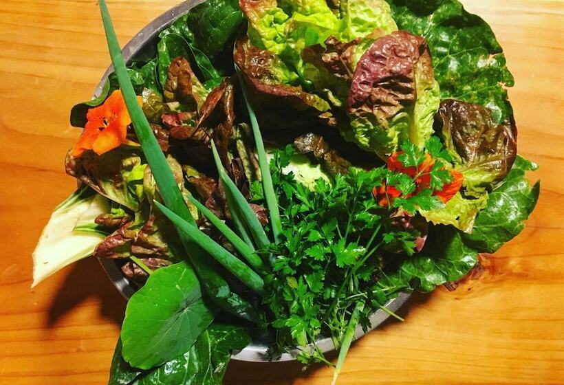 Hotel Karibuni   Familiar Lodging & Private Spa