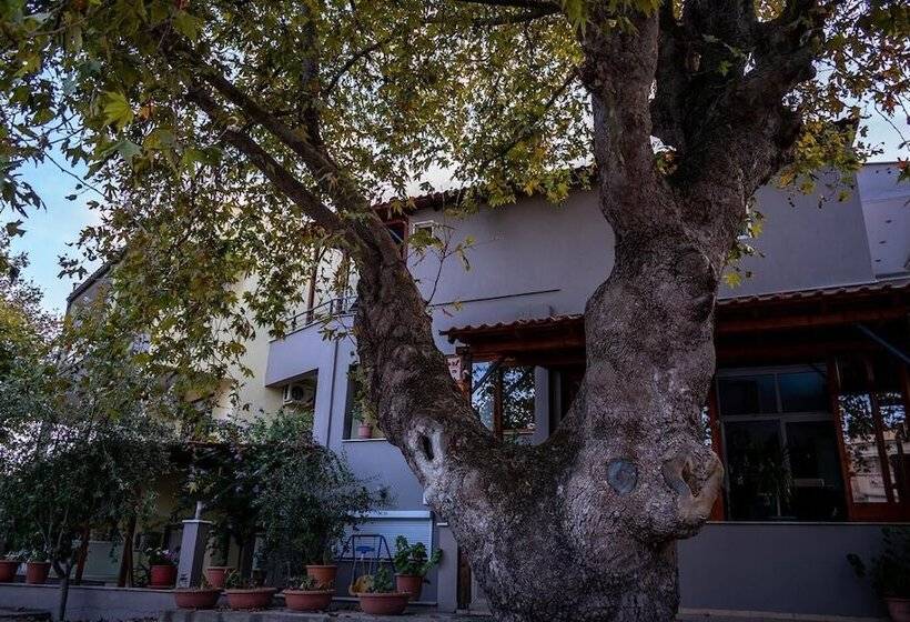 בית מלון כפרי Kipos Resort