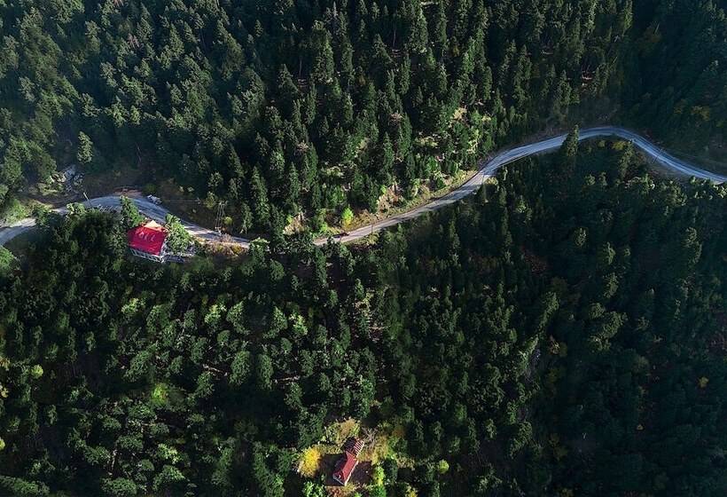 בית מלון כפרי Koutsikouris