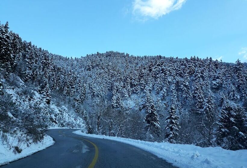 בית מלון כפרי Koutsikouris