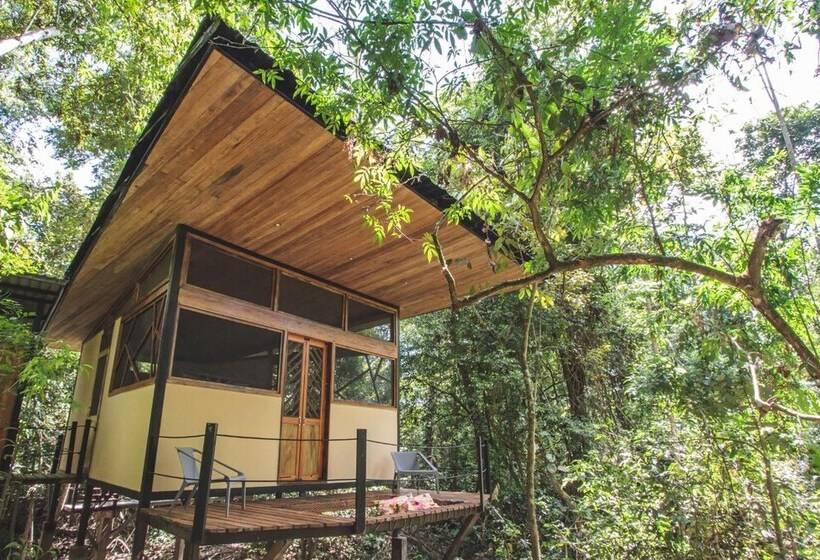 Отель La Manigua Lodge