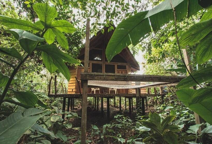 בית מלון כפרי La Manigua Lodge