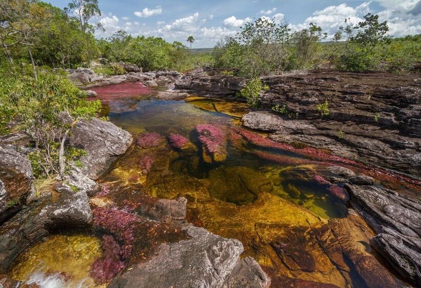 בית מלון כפרי La Manigua Lodge