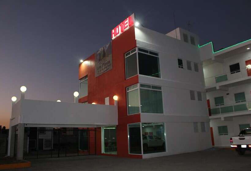 酒店 Los Pinos Express