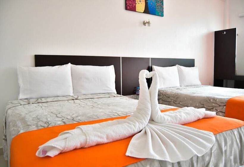 酒店 Los Pinos Express