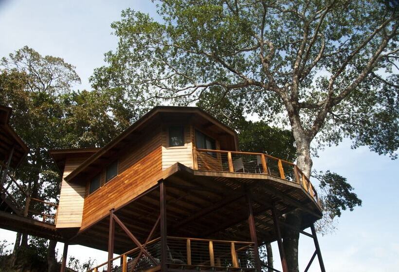 酒店 Lucero   Luxury Treehouses