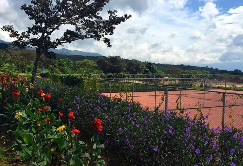 酒店 Lucero   Luxury Treehouses