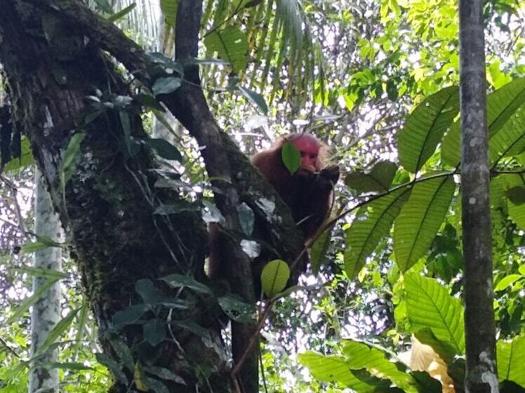 فندق Macaw Jungle Expeditions