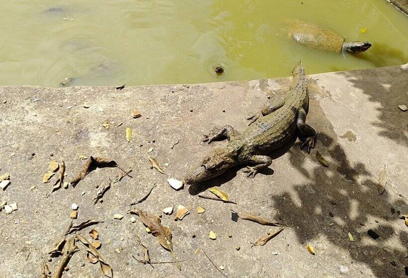 فندق Macaw Jungle Expeditions