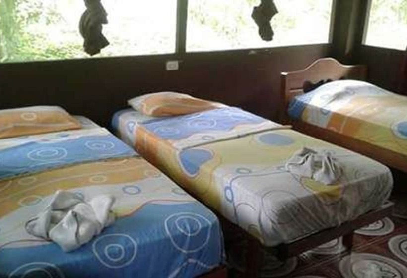 فندق Macaw Jungle Expeditions