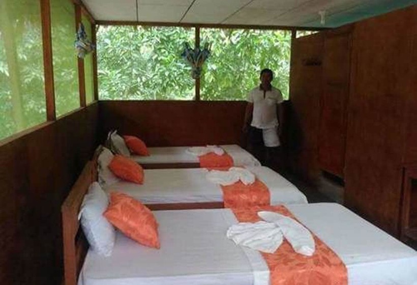 酒店 Macaw Jungle Expeditions
