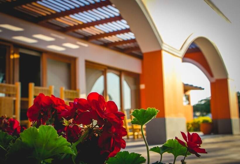 هتل Monteverde Boutique