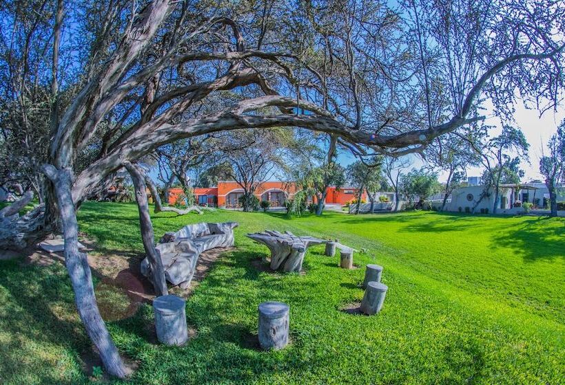 هتل Monteverde Boutique