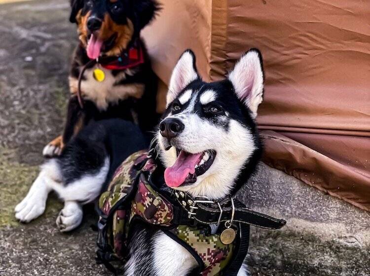 בית מלון כפרי Parador La Mesa Redonda