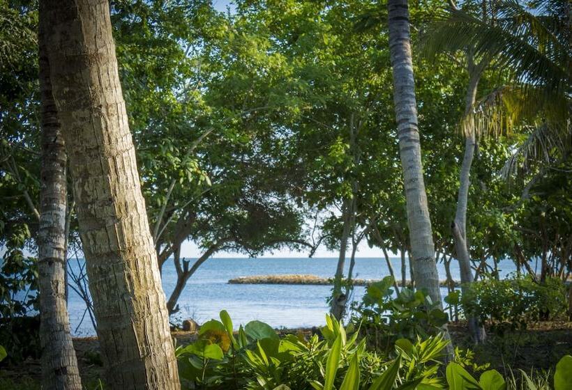 בית מלון כפרי Playa Manglares Isla Barú