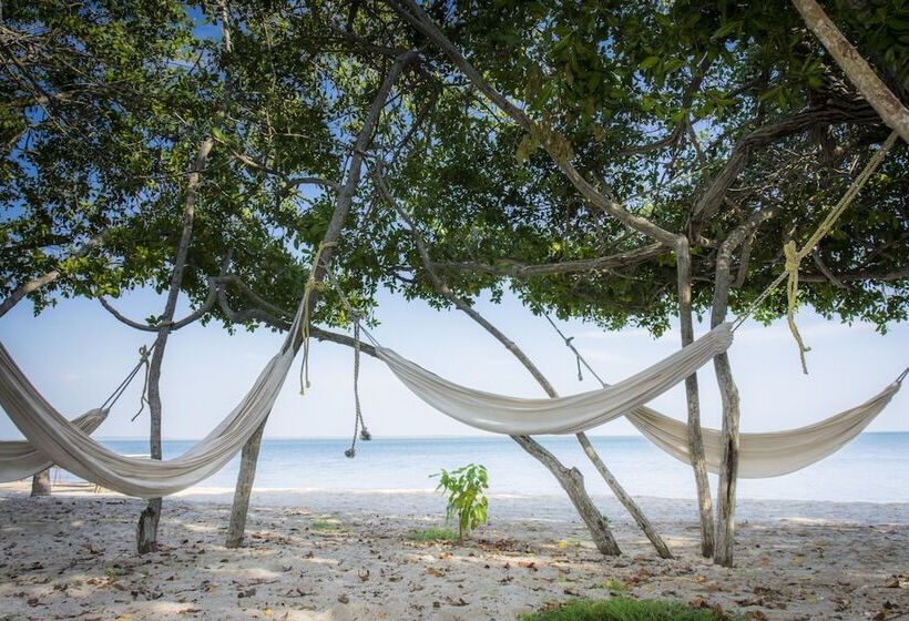 בית מלון כפרי Playa Manglares Isla Barú