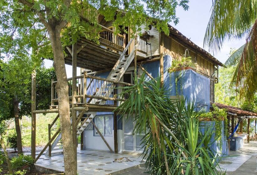 בית מלון כפרי Playa Manglares Isla Barú