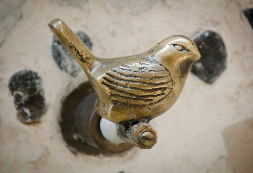 בית מלון כפרי Playa Manglares Isla Barú