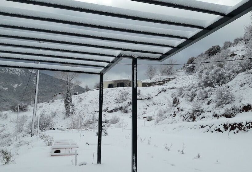 ホテル Pleiades Village